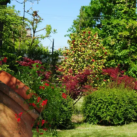 Relais Roncuzzi Hotell