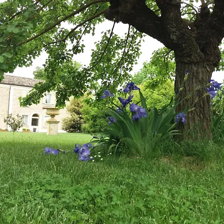 מלון Relais Roncuzzi 4*