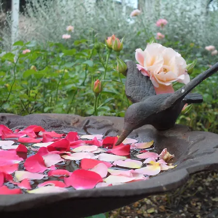 Hotel Relais Roncuzzi 4*