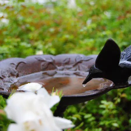 Relais Roncuzzi Hotel