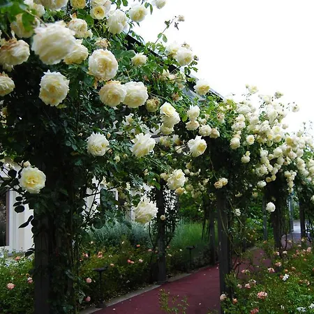 Relais Roncuzzi San Pancrazio