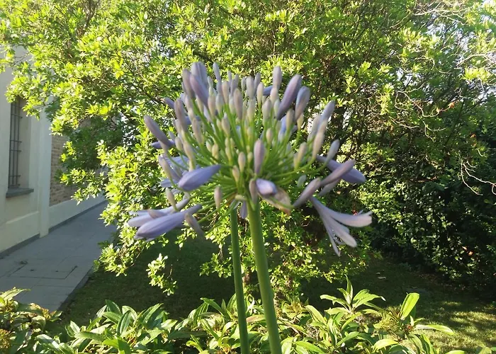 Hotell Relais Roncuzzi 4*