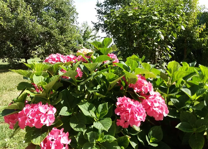 Relais Roncuzzi Отель