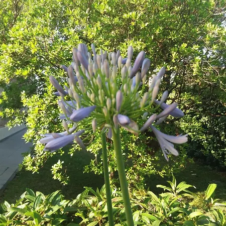 فندق Relais Roncuzzi 4*