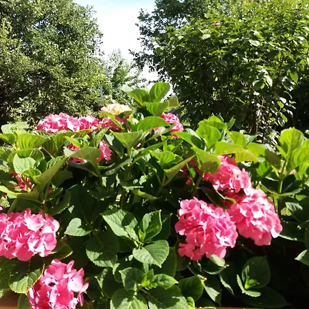 Relais Roncuzzi فندق