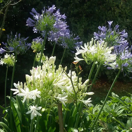 فندق Relais Roncuzzi San Pancrazio (Florence)